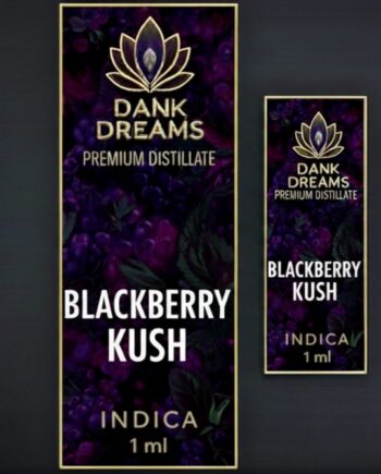 Blackberry Kush. Pure Indica Slumber 1ml With Button Disposable